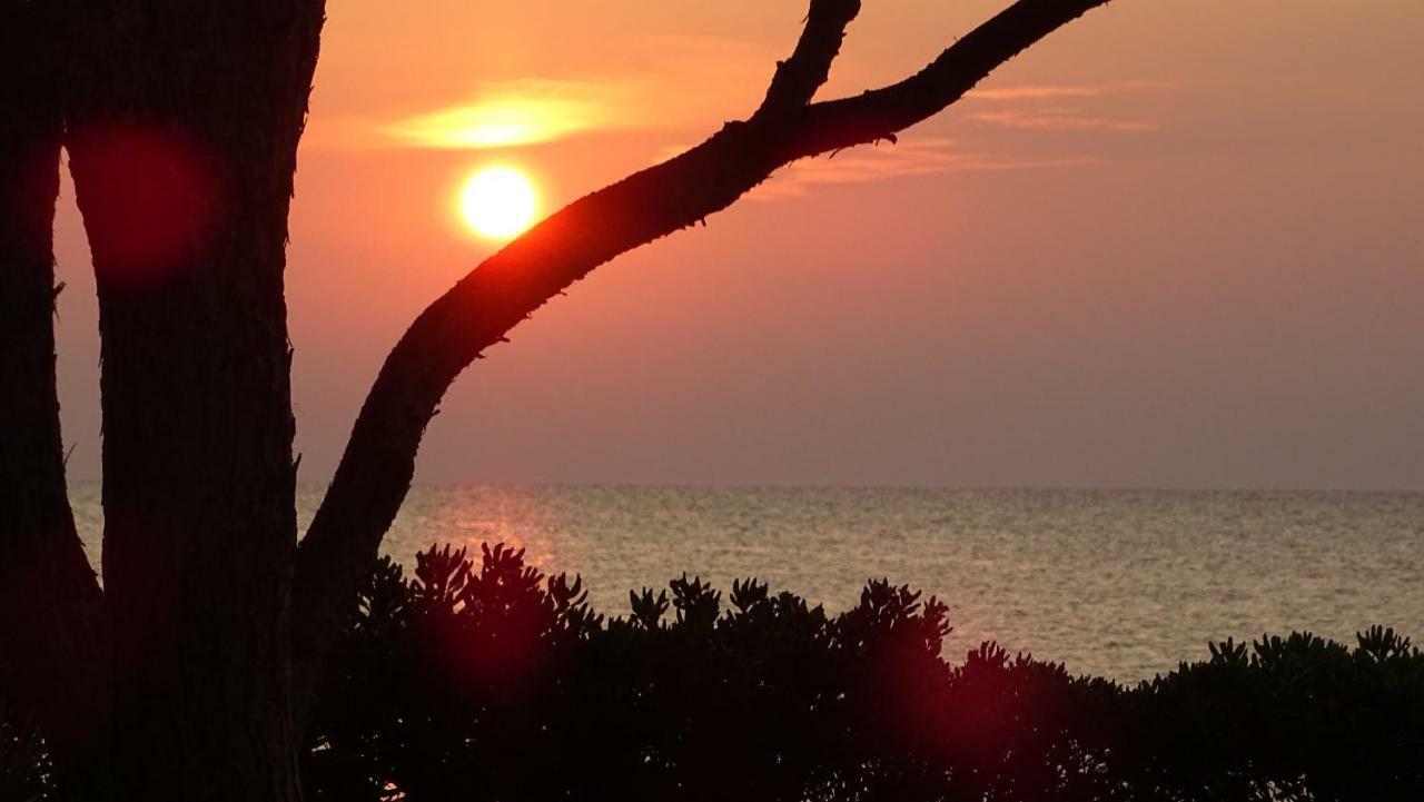 Budoni - The House Of The Rising Sun Экстерьер фото